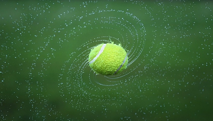 Thông tin về bóng quần vợt